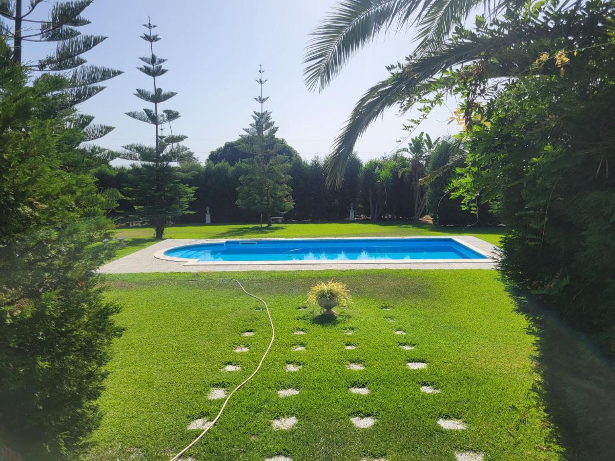Villa Marianna サンタ・ヴェネリーナ エクステリア 写真